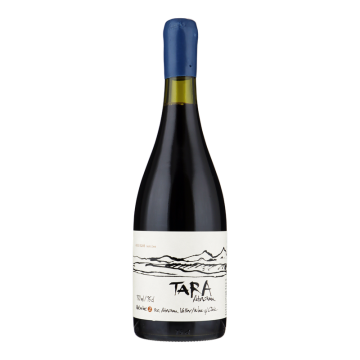 VENTISQUERO Tara Premium Syrah